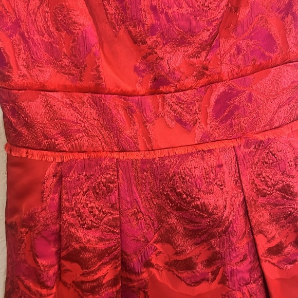 Theia Alexis Fringe Cocktail Dress red pink size 8. V neck back. Stunning - Picture 4 of 8